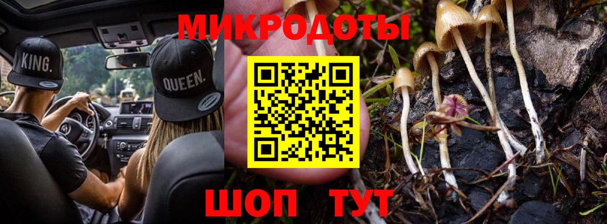 Псилоцибиновые грибы MAGIC MUSHROOMS Киселёвск