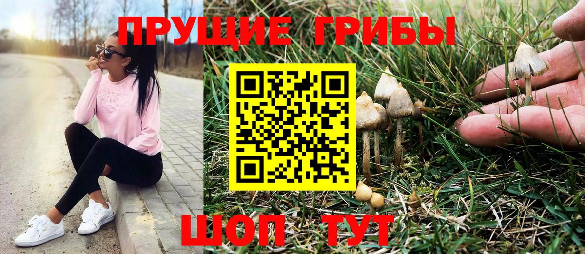 Галлюциногенные грибы MAGIC MUSHROOMS  Вход с VPN  Киселёвск 